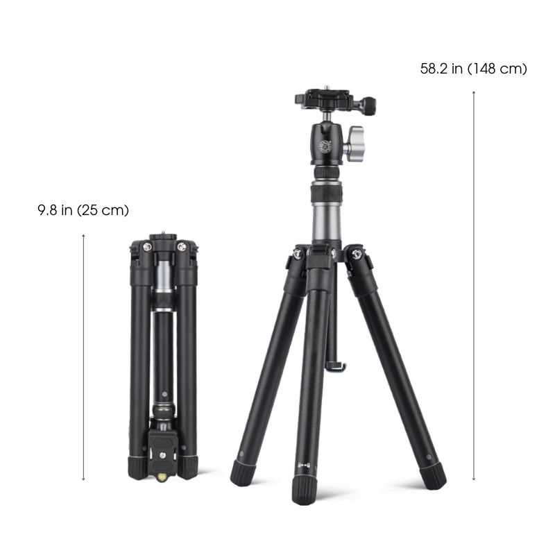 ArtMate - Set d'arte in noce fatto a mano (Edizione Maestra)